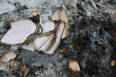 Immàgine de LEEROY pigada dae Pixabay